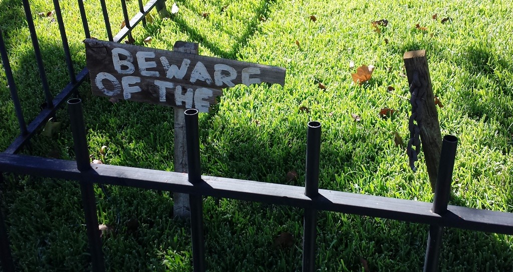 Still haven't found our pet. Let us know if you see it. You can run fast, right?