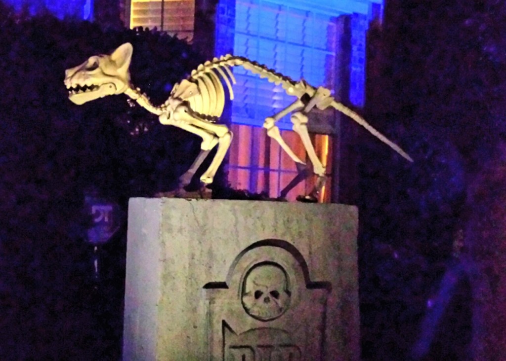 Nighttime at the manor