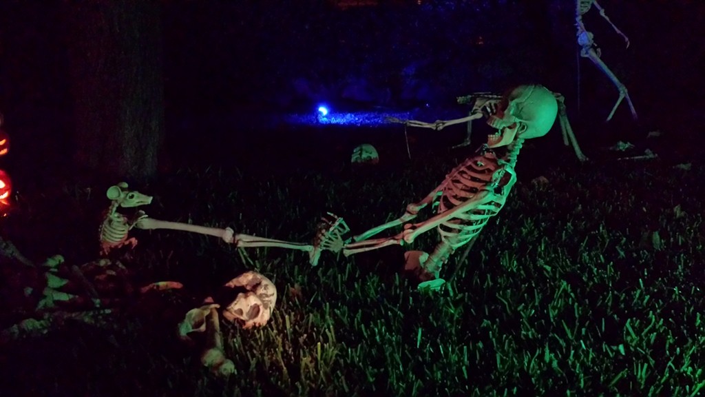 Nighttime at the manor