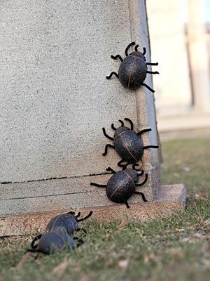 Foam Egg Scarab Beetles
