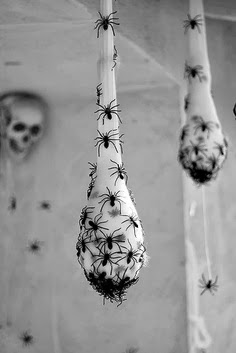 Spider Egg Sacs